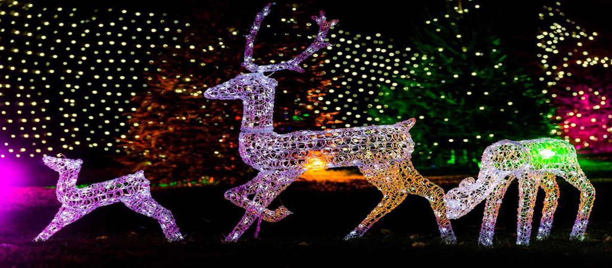 Christmas at Groombridge Place Essential Surrey & SW London